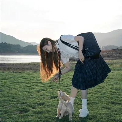 来自法国的玫瑰